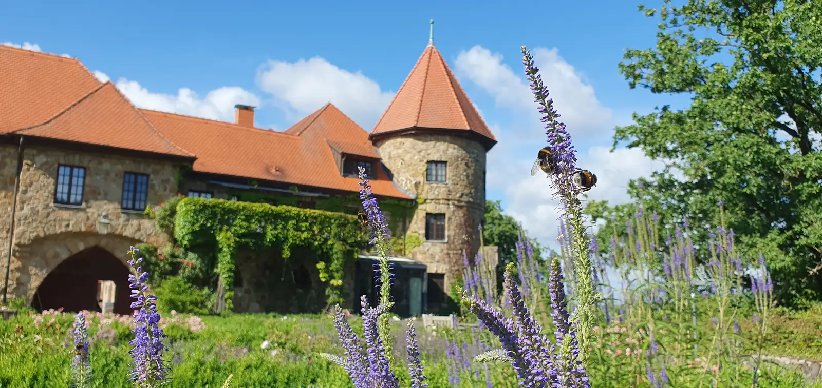 Eingangstor des Ritterguts mit blühendem Lavendel